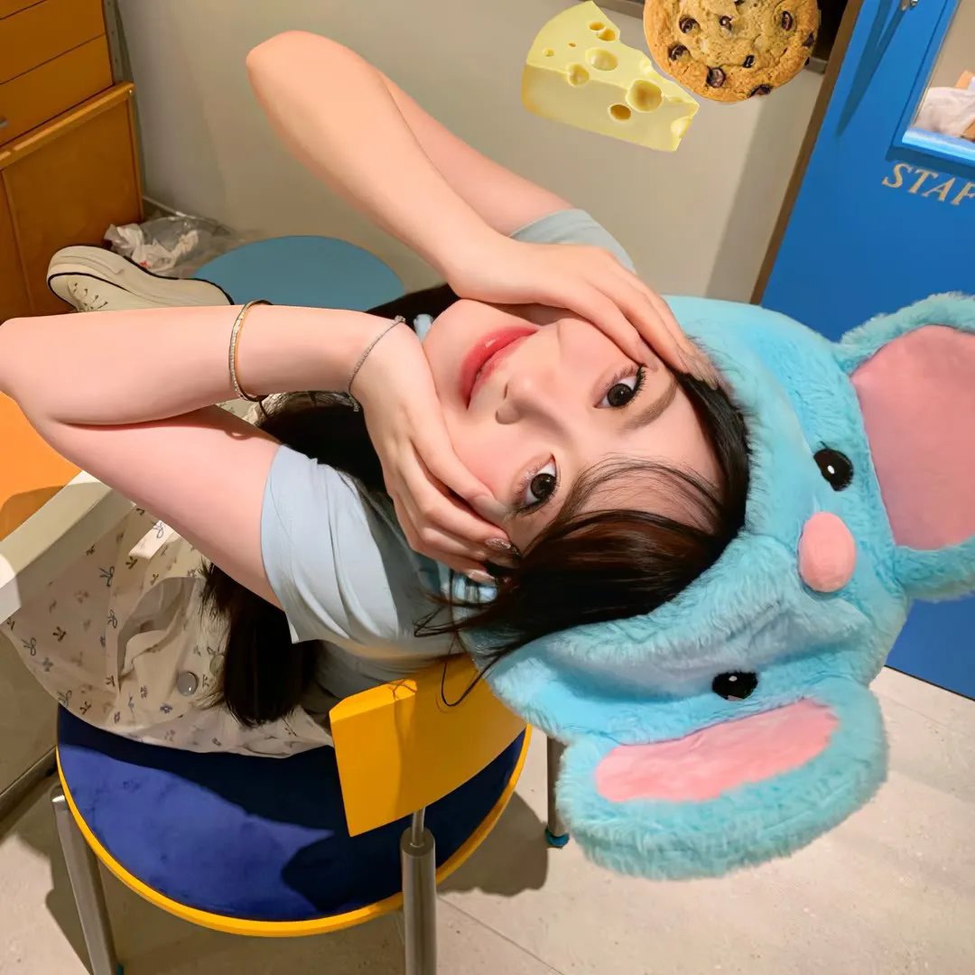 蠢蛋进化论